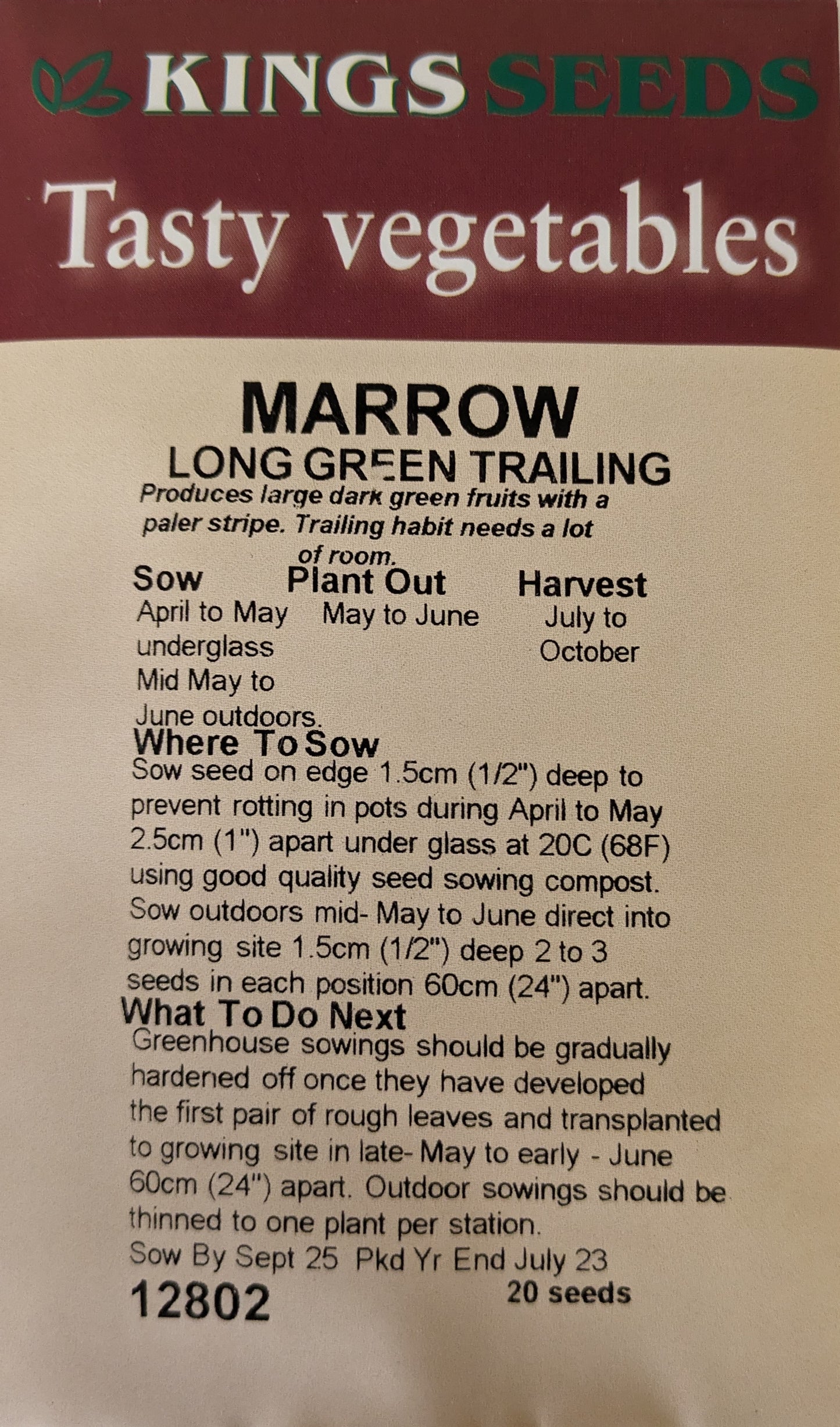 Kings Seeds Marrow Long Green Trailing