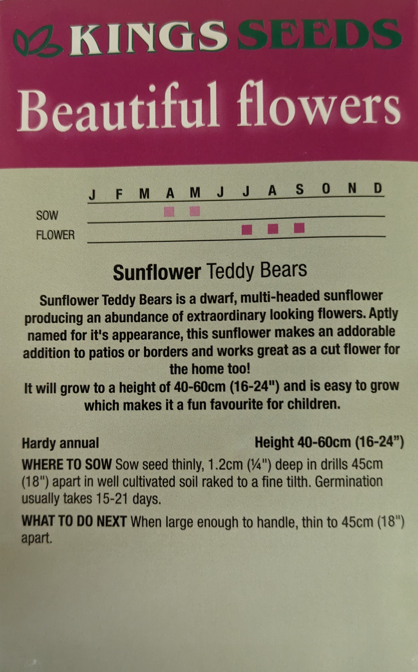Kings Seeds Sunflower Teddy Bear 40 Seeds
