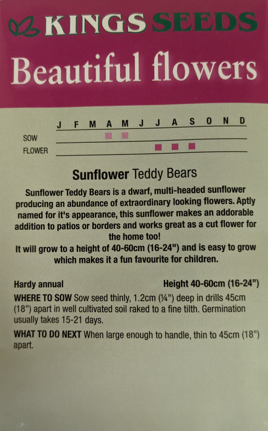Kings Seeds Sunflower Teddy Bear 40 Seeds