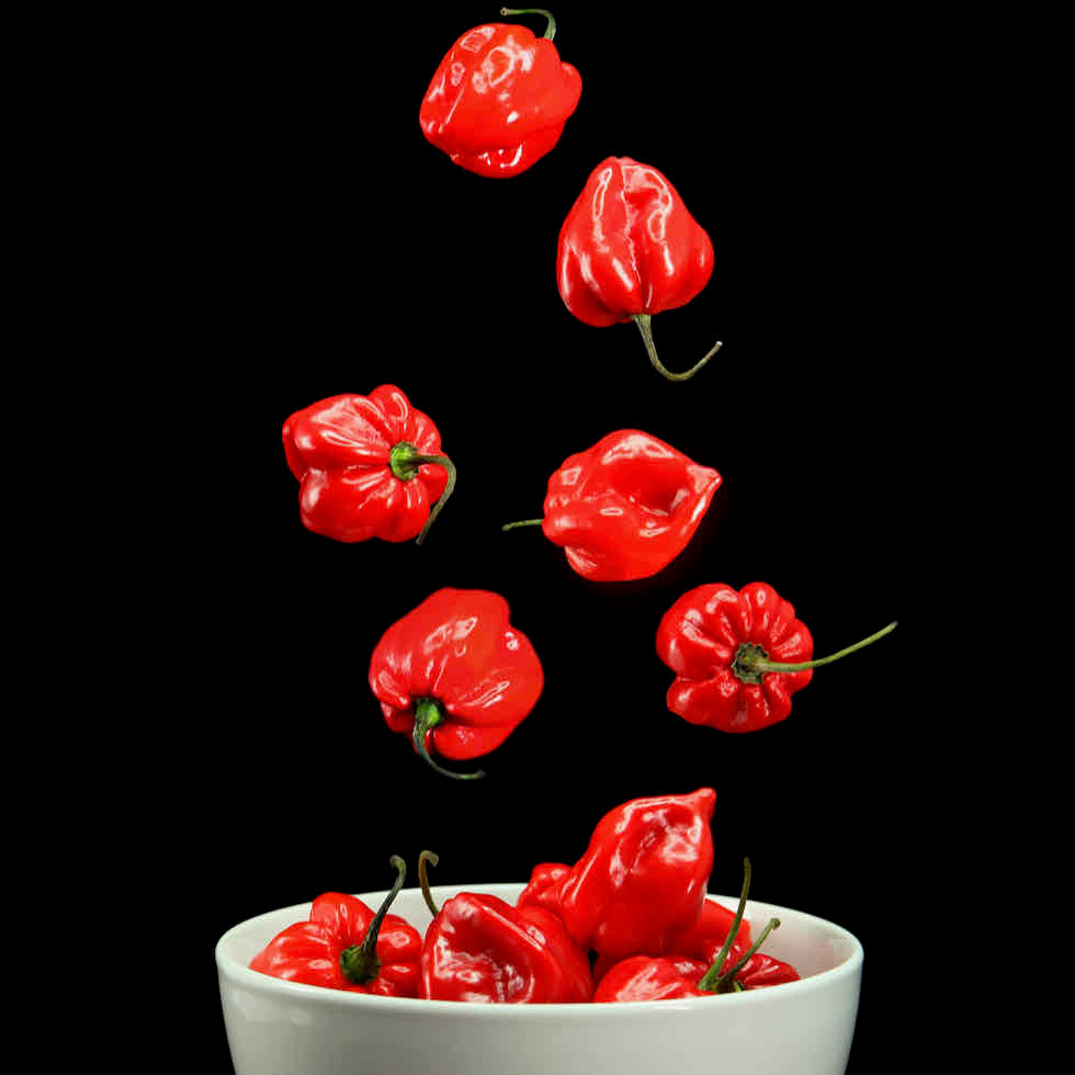 Chilli Pepper Habanero Fire Seeds - Very Hot Red Variety (200,000–300,000 SHU)