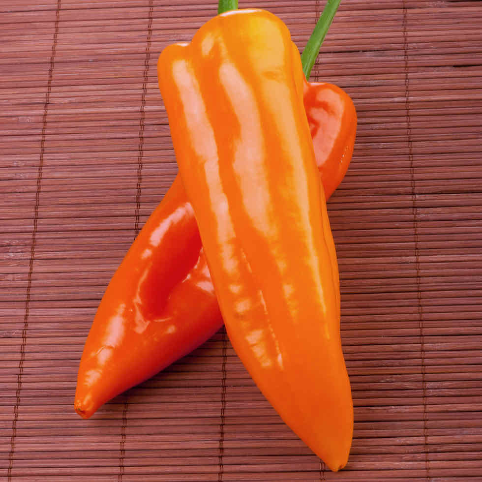 Chilli Pepper Orange Glow Seeds - Mild Hot Orange Variety (10,000 SHU)