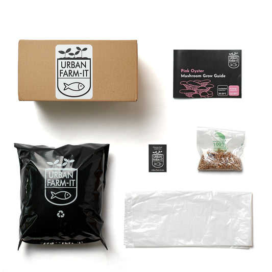 Mushroom Pink Oyster Growing Kit