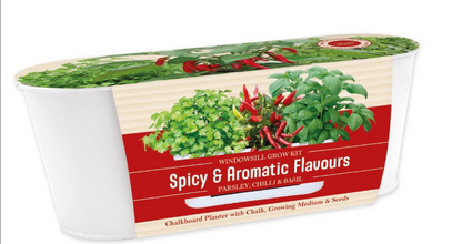Bees Seeds - Spicy and Aromatic Windowsill Kit