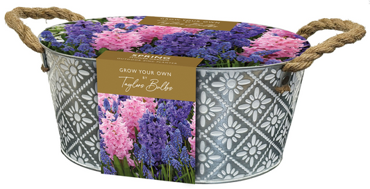 Taylors Hyacinth & Muscari Metal Trough Grow Kit – 15 Bulbs