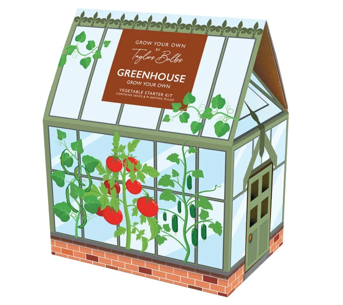 Taylors Greenhouse Starter Kit – Beans, Tomato & Courgette