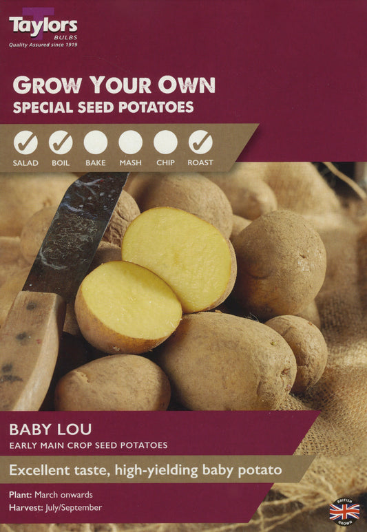Taylors Seed Potatoes Baby Lou 8 Tubers Main Crop