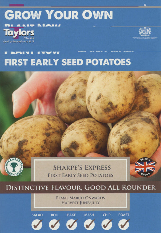 Taylors - LARGE PK SIZE Seed Potatoes- Sharpe's Express - 2kg Tubers - First Early