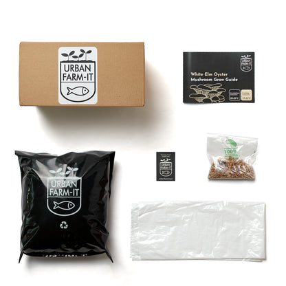 Mushroom Growing Kit White Elm Oyster Gift Option