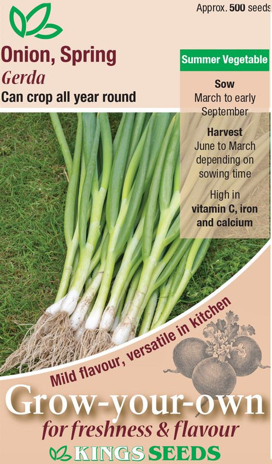 Kings Seeds  Onion Spring Gerda Seeds