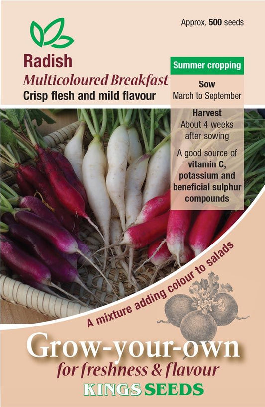 Kings Seeds  Radish Multicoloured Breakfast Mixed Seeds