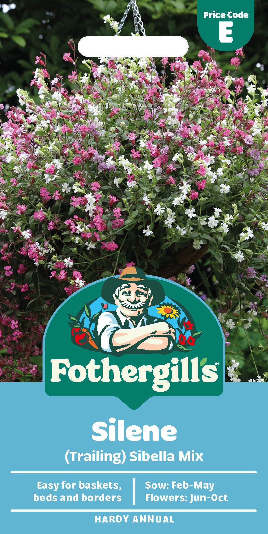 Fothergills Silene Sibella Mix (Trailing) Seeds