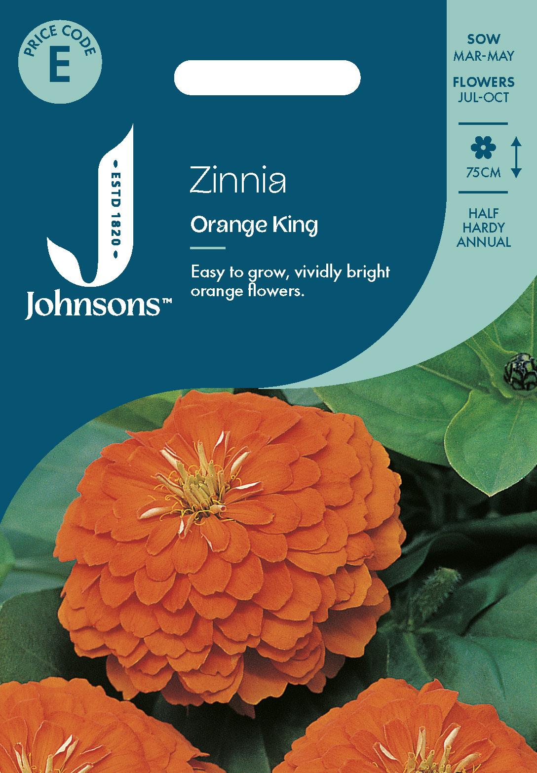Johnsons - Zinnia Orange King - 100 Seeds