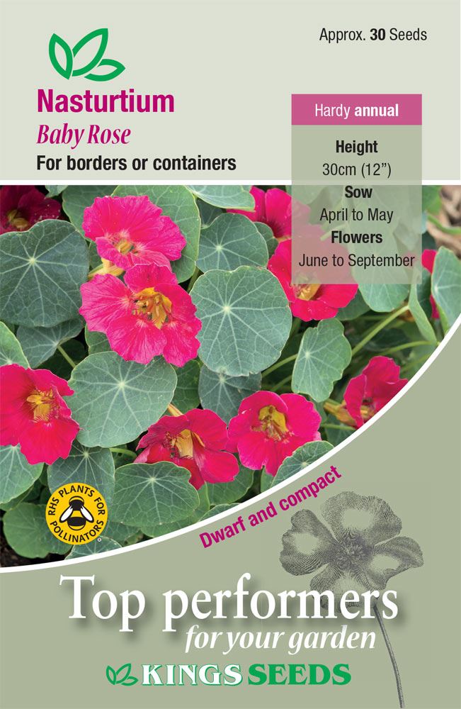 Kings Seeds - Flower - Nasturtium Baby Rose Seeds