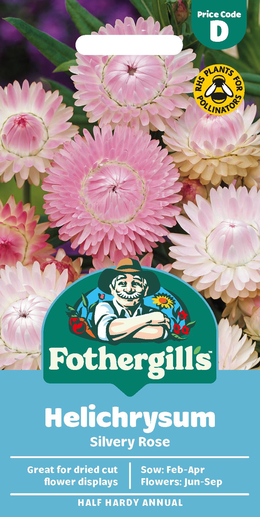 Fothergills Helichrysum Silvery Rose Seeds