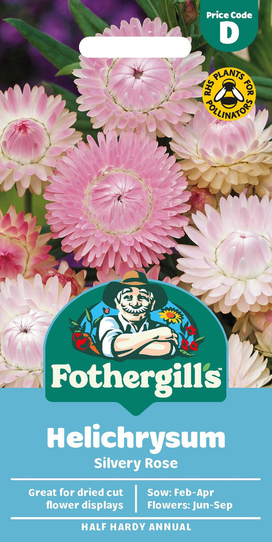 Fothergills Helichrysum Silvery Rose Seeds