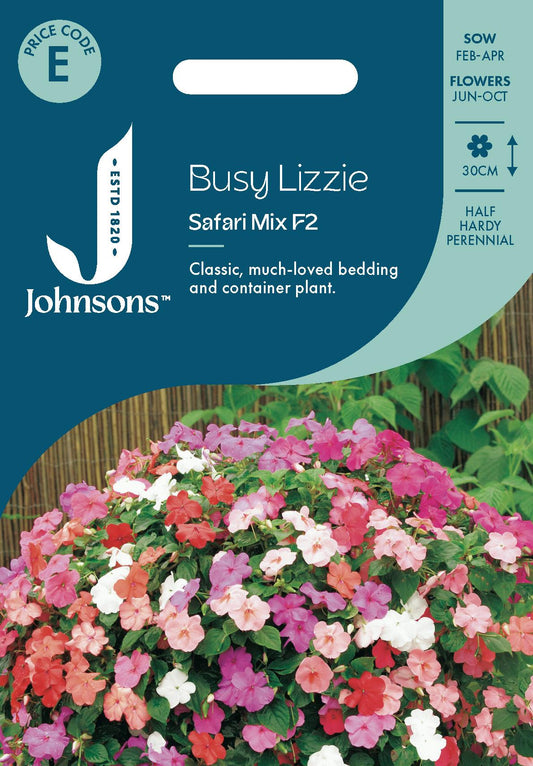 Johnsons - Busy Lizzie Safari Mix F2 - 50 Seeds