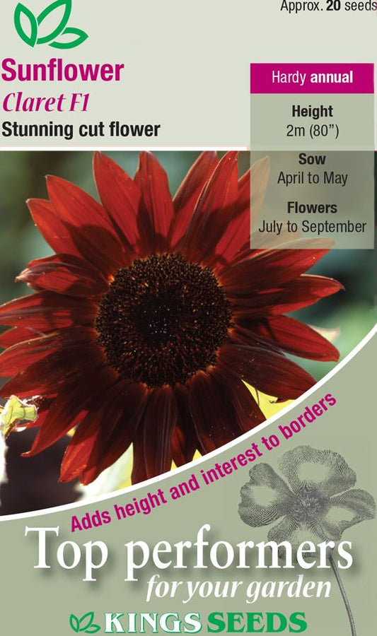 Kings Seeds  Sunflower Claret F1 Seeds