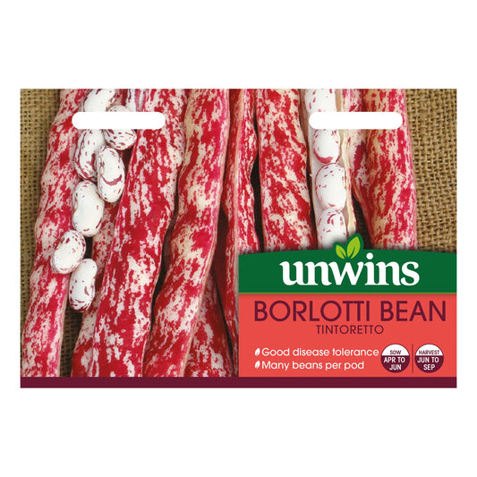 Unwins - Vegetable - Borlotti Bean Tintoretto Seeds