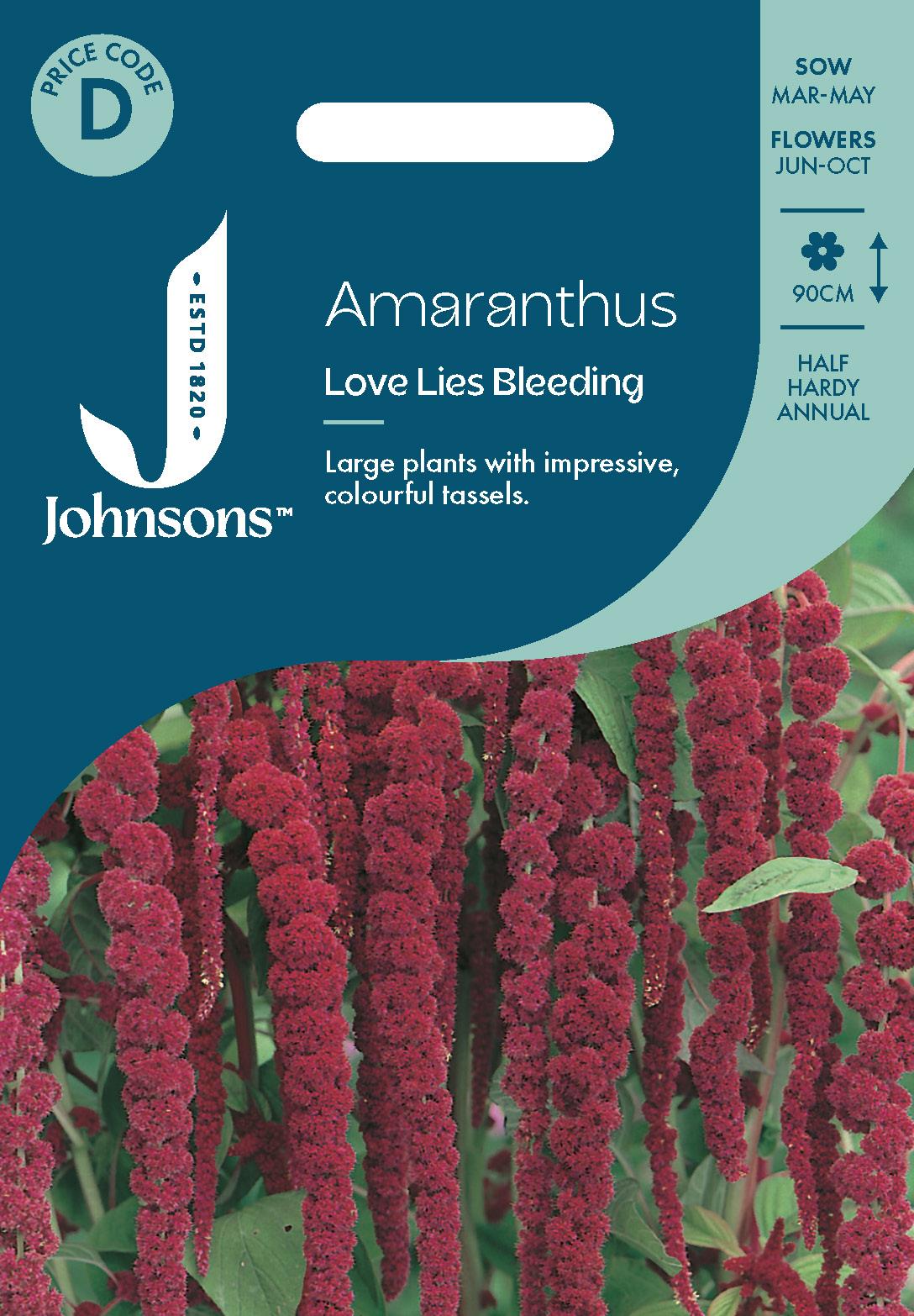 Johnsons - Amaranthus - Love Lies Bleeding - 1500 Seeds
