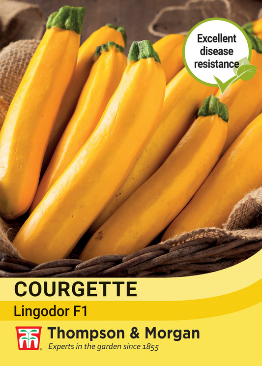 Thompson & Morgan  Vegetable Courgette Lingodor F1 - 4 Seeds