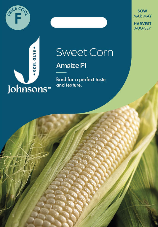 Johnsons - Sweet Corn Amaize F1 - 20 Seeds