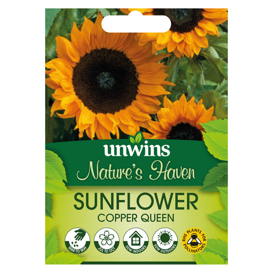 Unwins Flower Sunflower Copper Queen - 12 Seeds