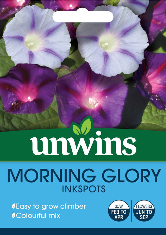 Unwins Morning Glory Inkspots 35 Seeds