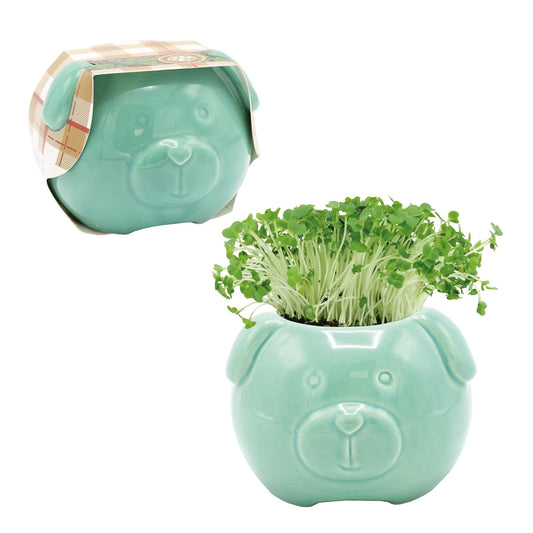 Cress Head Cat Novelty Planter Grow Kit – Jade | Bees Seeds