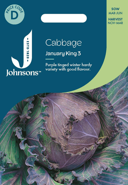 Johnsons - Cabbage January King 3 - 350 Seeds