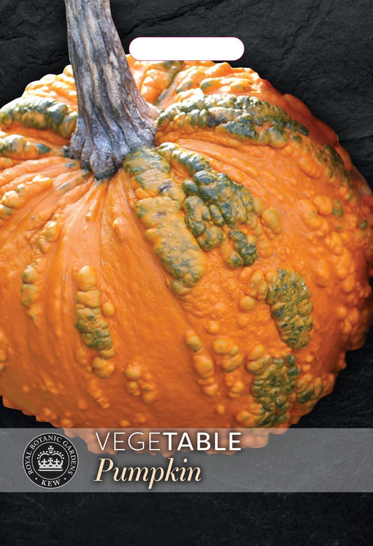 Thompson & Morgan Kew Vegetable Pumpkin Zombie - 5 Seeds