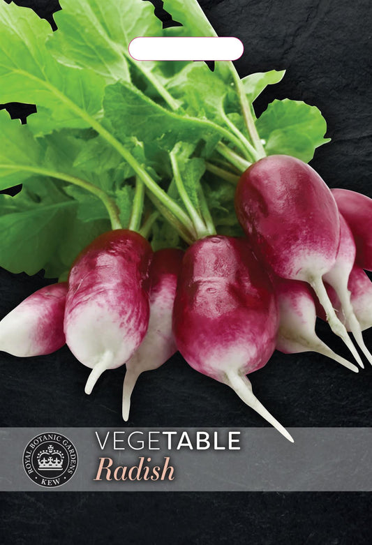 Thompson & Morgan Kew Vegetable Radish Diana - 500 Seeds