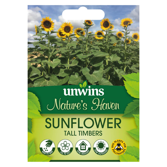 Unwins Flower Sunflower Tall Timbers - 12 Seeds