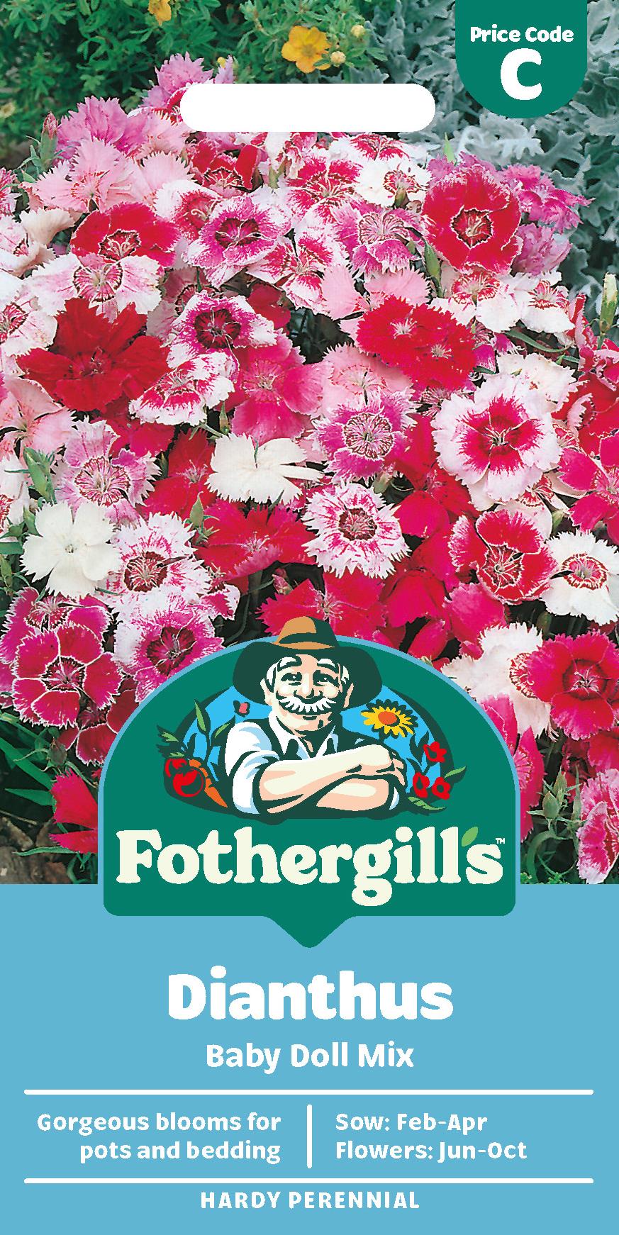 Fothergills Dianthus Baby Doll Mix Seeds