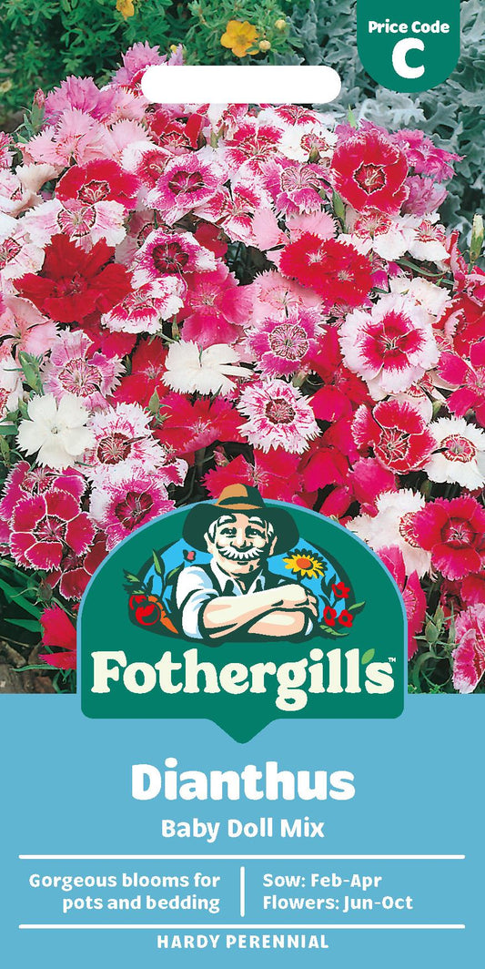 Fothergills Dianthus Baby Doll Mix Seeds
