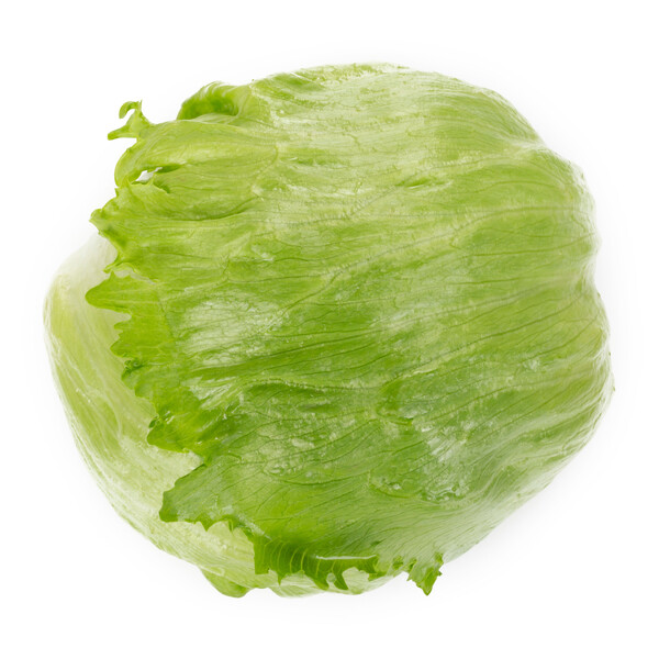 Lettuce Abrinas RZ (45-IC1152) Untreated Seeds