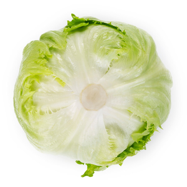 Lettuce Abrinas RZ (45-IC1152) Untreated Seeds