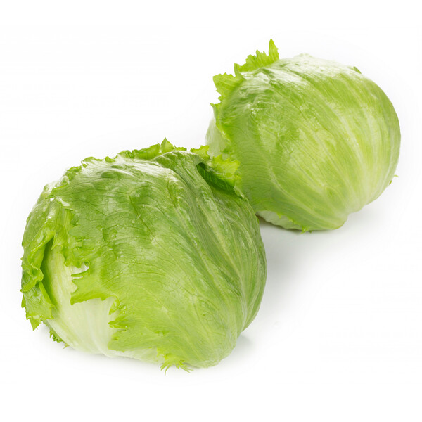 Lettuce Abrinas RZ (45-IC1152) Untreated Seeds