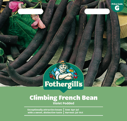 Fothergills Climbing French Bean Violet Podded Seeds