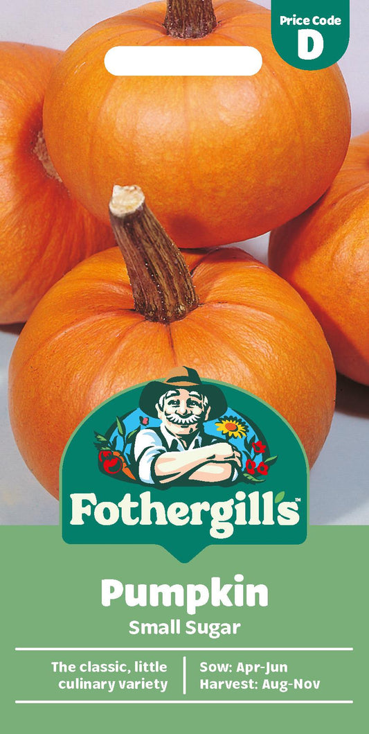 Fothergills Pumpkin Small Sugar Seeds