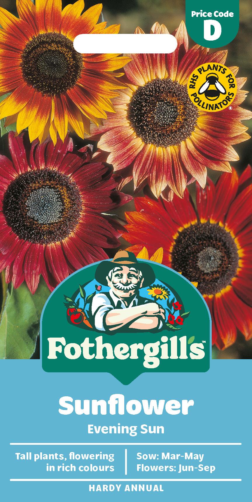 Fothergills Sunflower Evening Sun Seeds