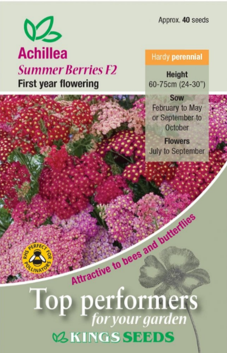 Kings Seeds Achillea Summer Berries F2 40 Seed