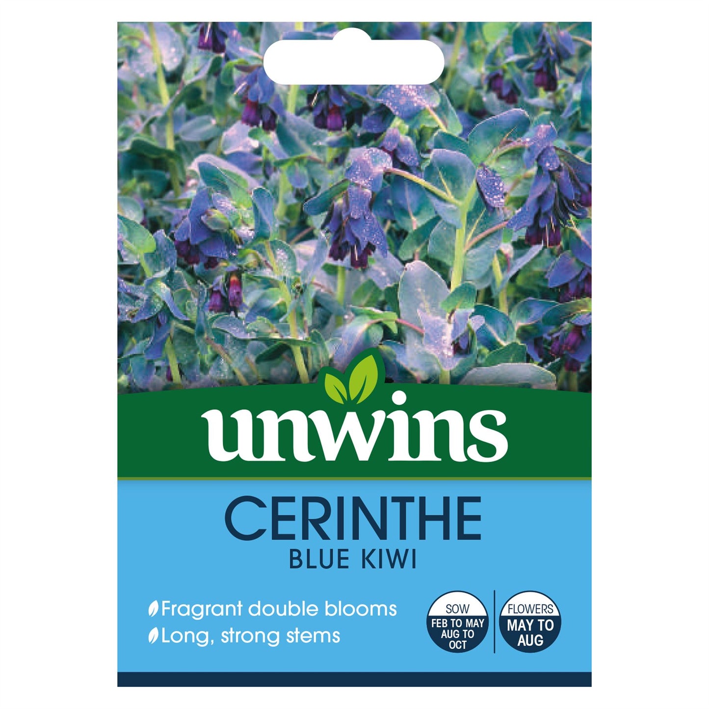 Unwins - Flower - Cerinthe Blue Kiwi Seeds
