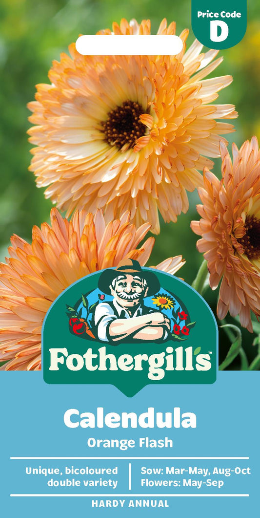 Fothergills Calendula Orange Flash Seeds