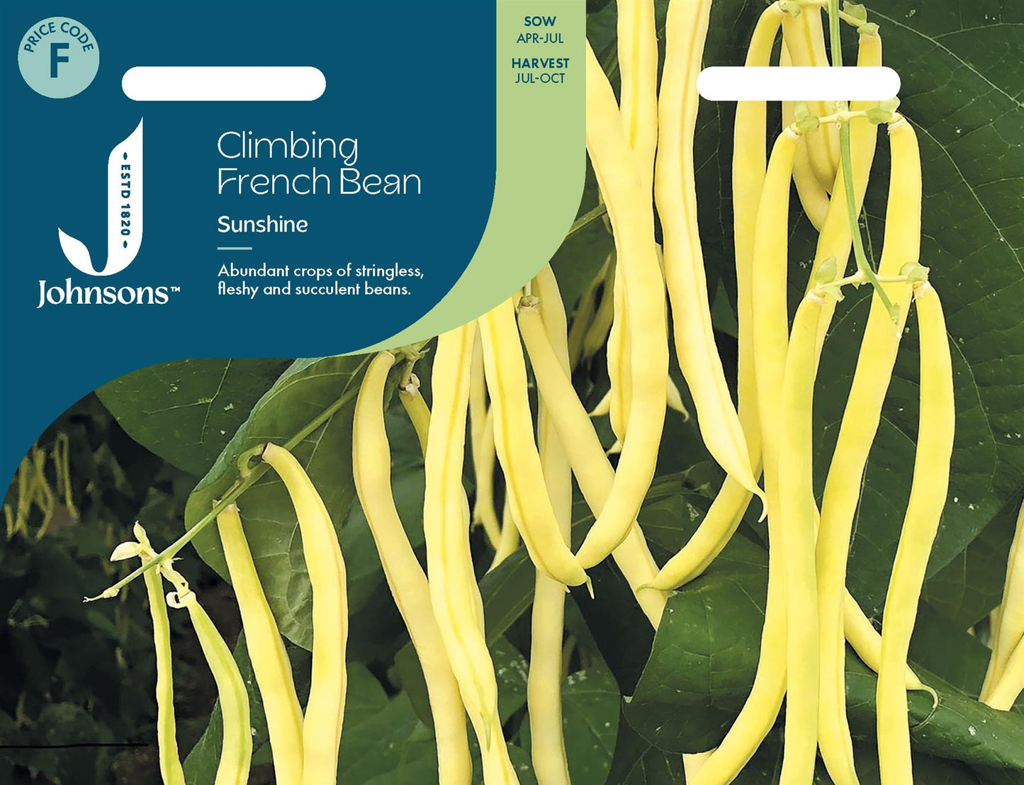 Johnsons - Climbing French Bean Sunshine - 50 Seeds