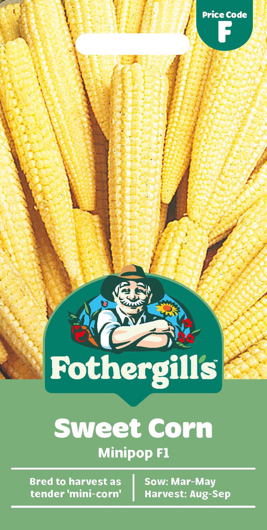 Fothergills Sweet Corn Minipop F1 Seeds