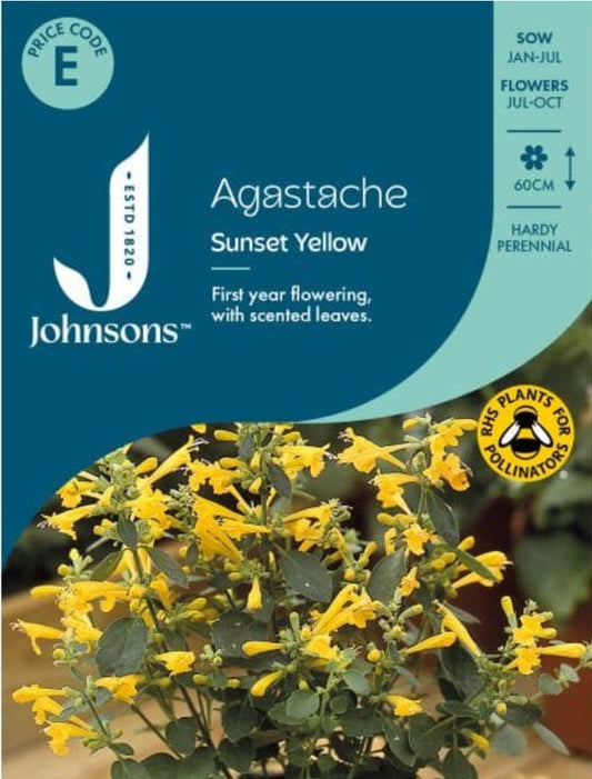Johnsons - Agastache Sunset Yellow - 50 Seeds