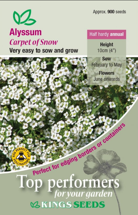 Kings Seeds Alyssum Carpet of Snow 900 Seeds