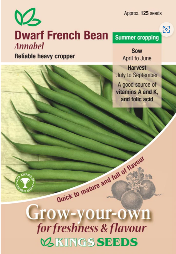 Stringless Bean Varieties