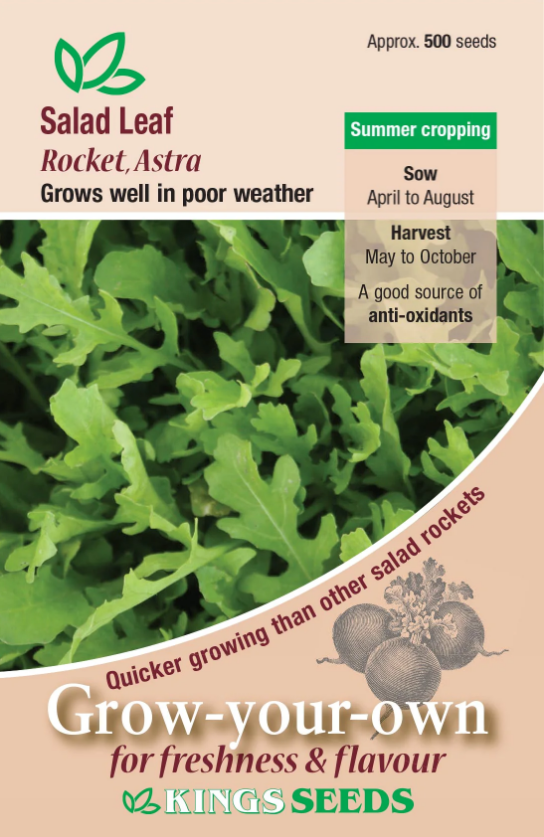 Kings Seeds Salad Leaf Rocket Astra 500 Seeds