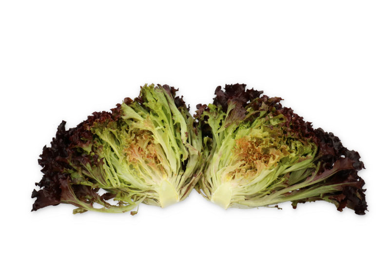 Lettuce Salanova Audex RZ (79-IN3978) Untreated Seeds